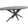 Online Pronto Wonen Eettafel Mascaro 220x120 cm ovaal zwart