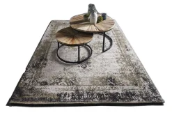 Online Pronto Wonen Karpet Agello 160x230 earth