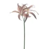 Sale Pronto Wonen Kunstbloem Varenzo hoya lelie bruin