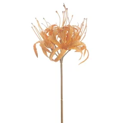 Best Pronto Wonen Kunstbloem Varenzo nerine L bruin