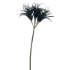 Outlet Pronto Wonen Kunstbloem Varenzo Nerine zwart