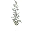 Best Pronto Wonen Kunsttak Varenzo ruscus blad grijs