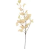 Hot Pronto Wonen Kunsttak Varenzo salal blad beige